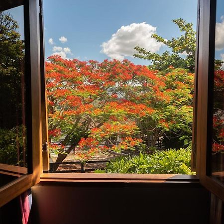 Oasis Hotel Spa Gravatá Dış mekan fotoğraf